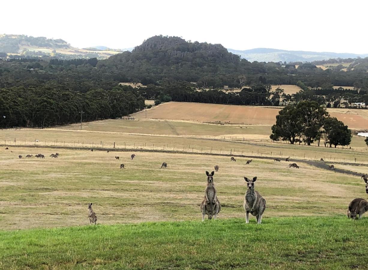 Hanging Rock Views Woodend Dış mekan fotoğraf