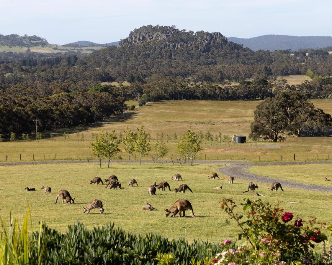 Hanging Rock Views Woodend Dış mekan fotoğraf